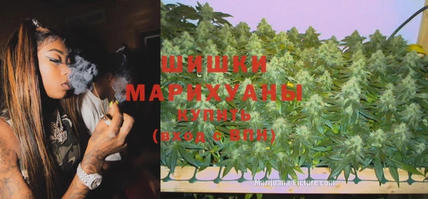 мяу мяу мука Пролетарск